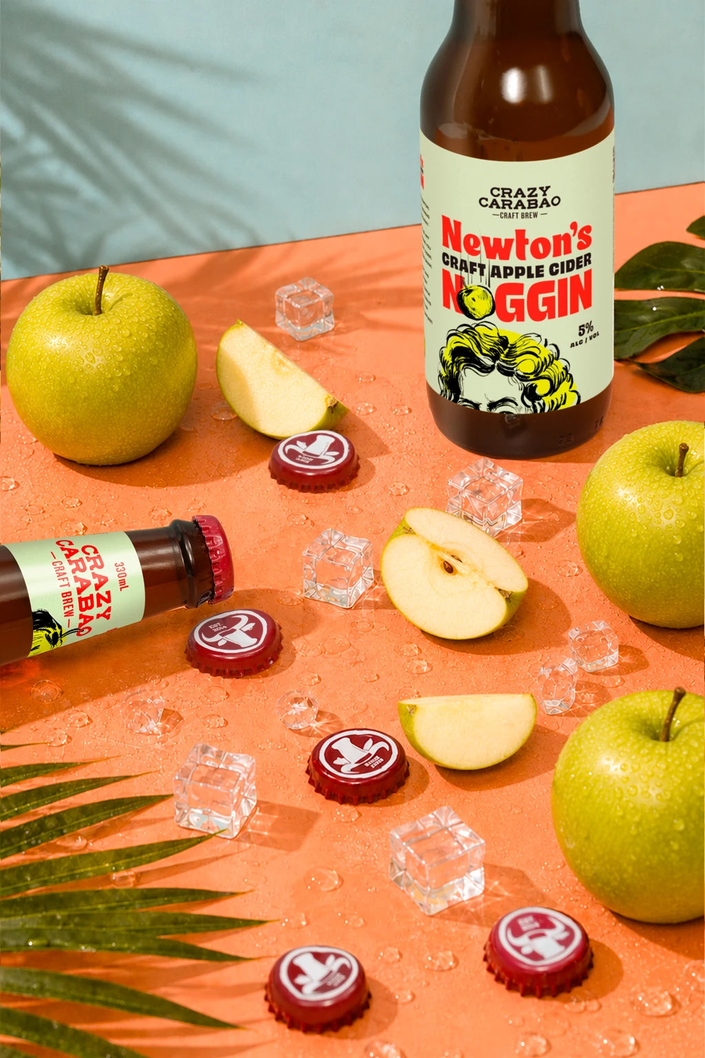 Newton’s Noggin Apple Cider